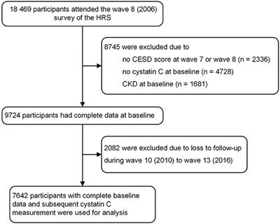 Persistent Depressive Symptoms and the Changes in Serum Cystatin C Levels in the Elderly: A Longitudinal Cohort Study